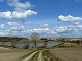 ri tavak, Tpibicske